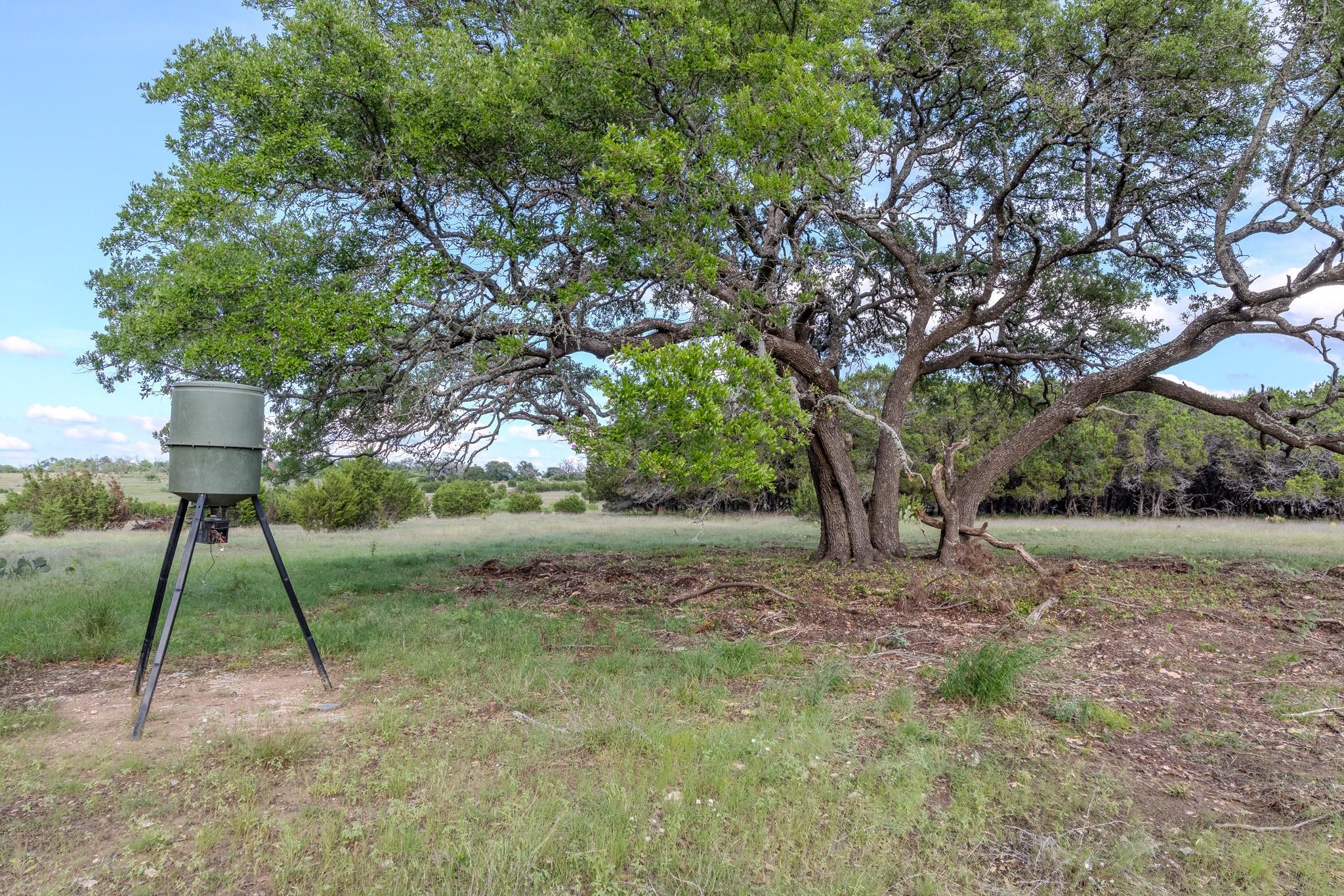 Lot 3 Bluestem, Lampasas, TX 76550 — photo 1