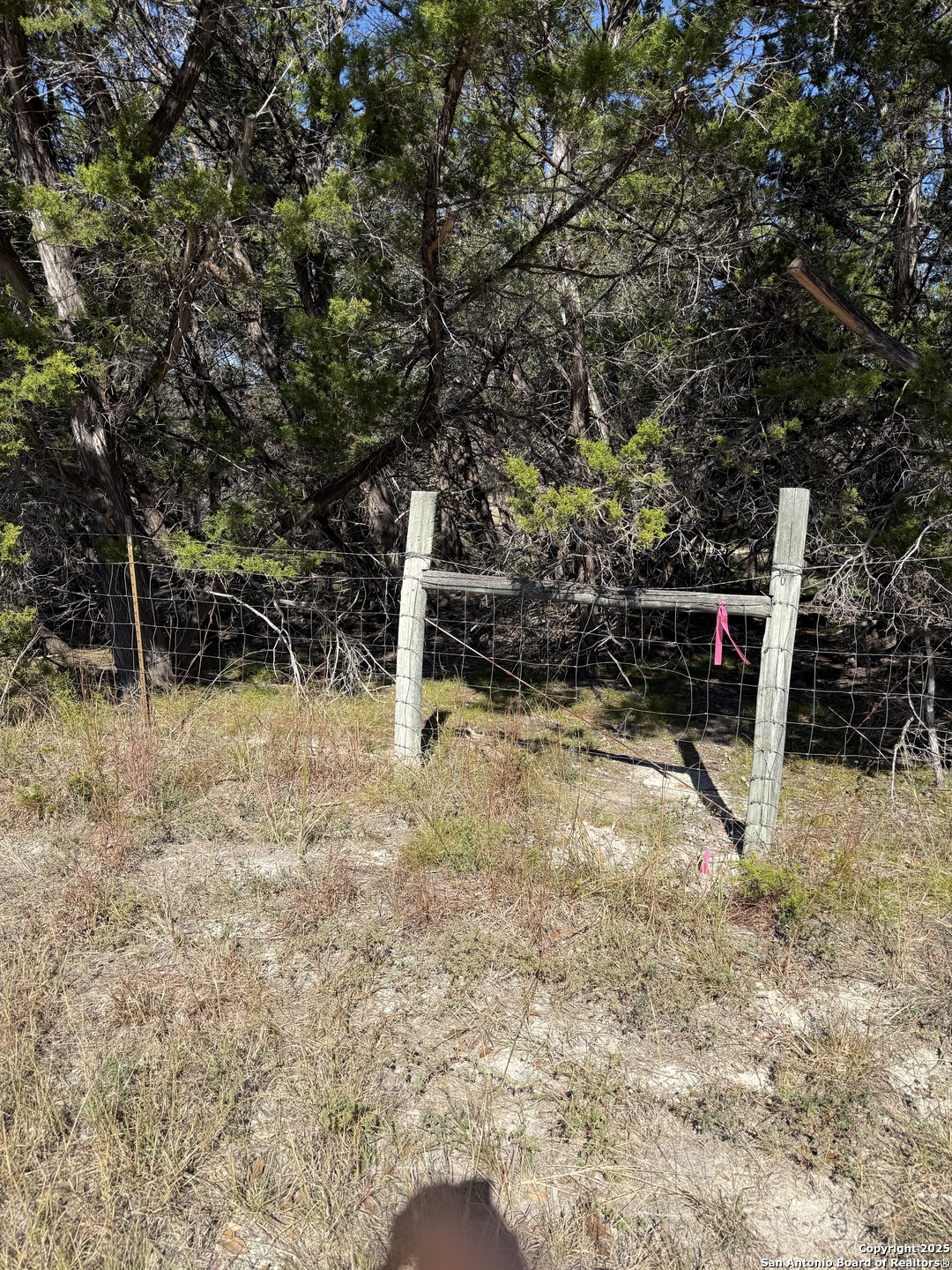 LT 392 Forest Trail Drive, ,  78003 — photo 1