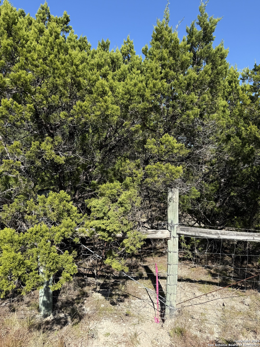 LT 391 Forest Trail Drive, ,  78003 — photo 1