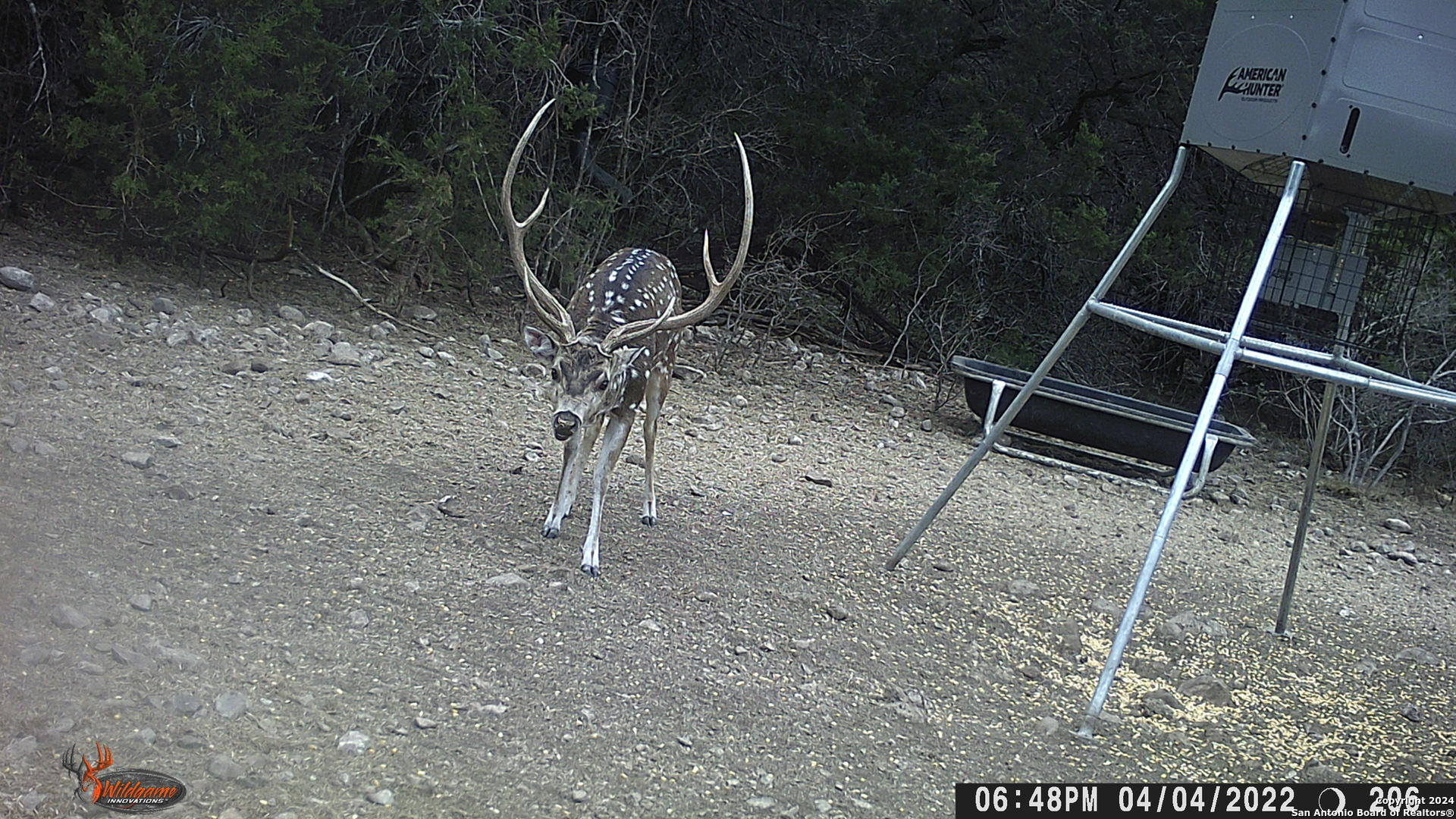 TBD RM 334, , 78832 — photo 1