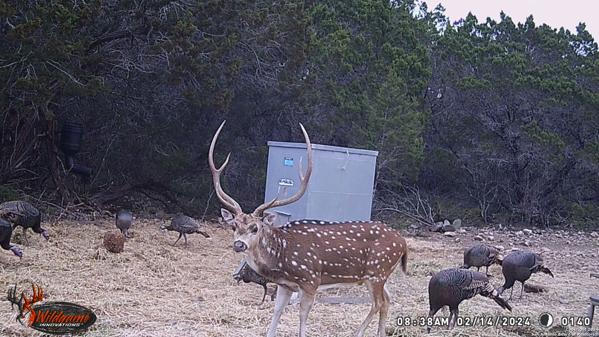 TBD RM 334, Brackettville, TX 78832 — photo 1
