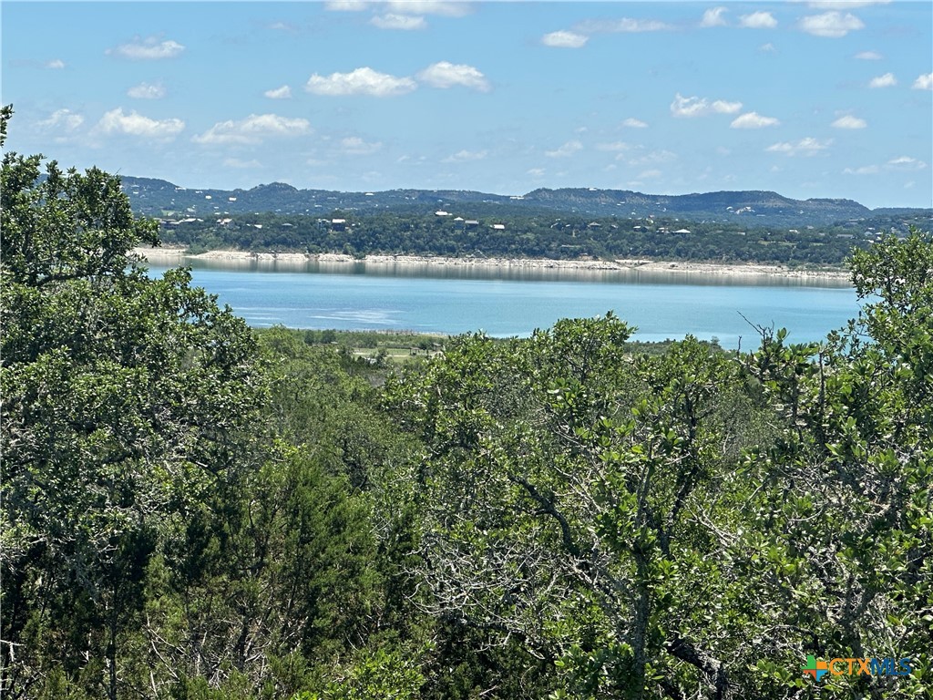 1251 Limerick Lane, Canyon Lake, TX 78133 — photo 1