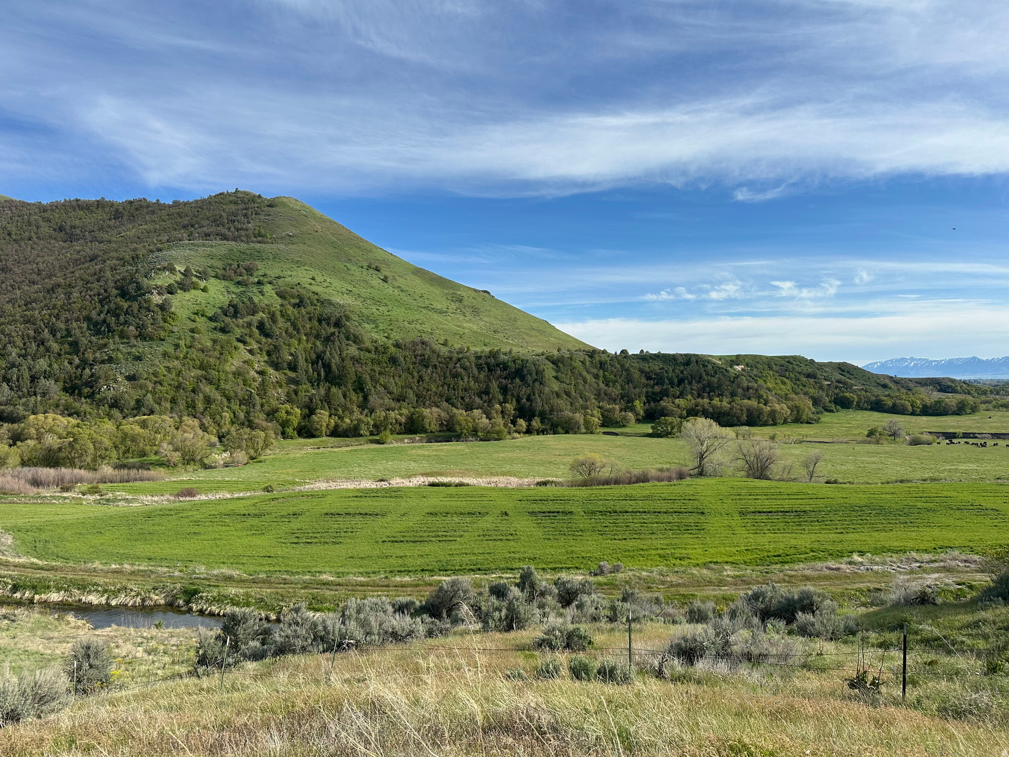 4210 E CUBRIVER RD, Preston, ID 83263 — photo 1