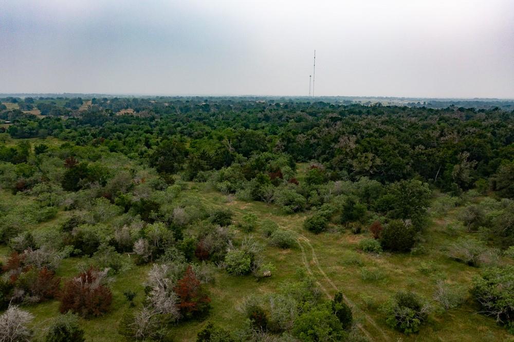 LOT 3 Private Road 4601, Waelder, TX 78959 — photo 1