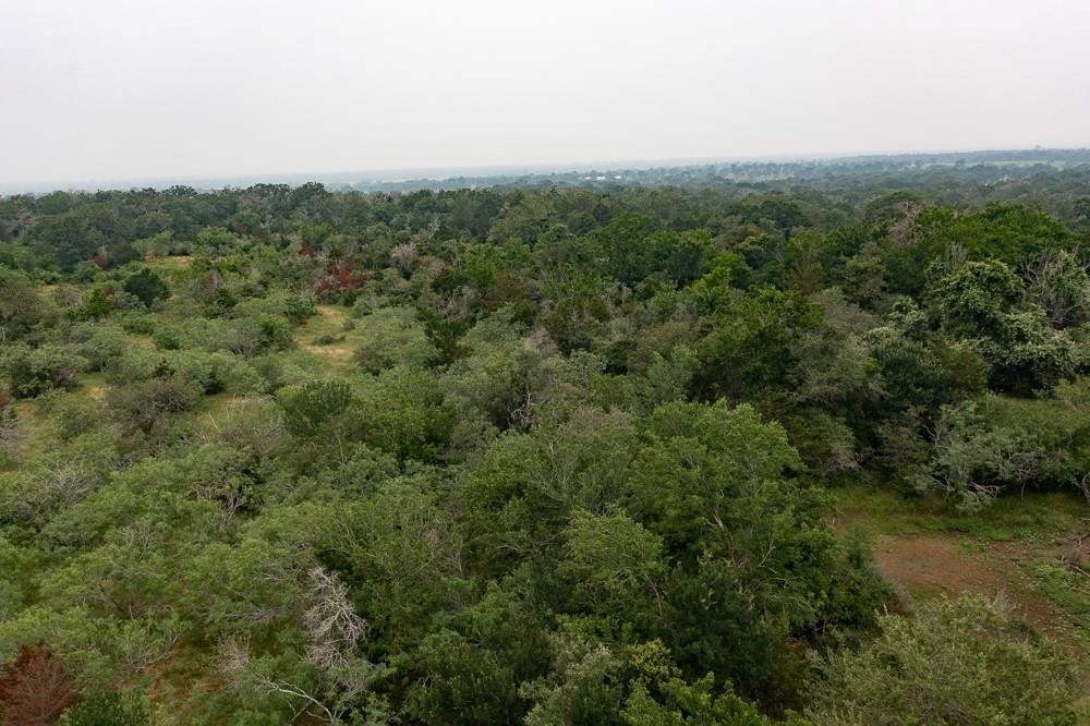 LOT 2 Private Road 4601, Waelder, TX 78959 — photo 1
