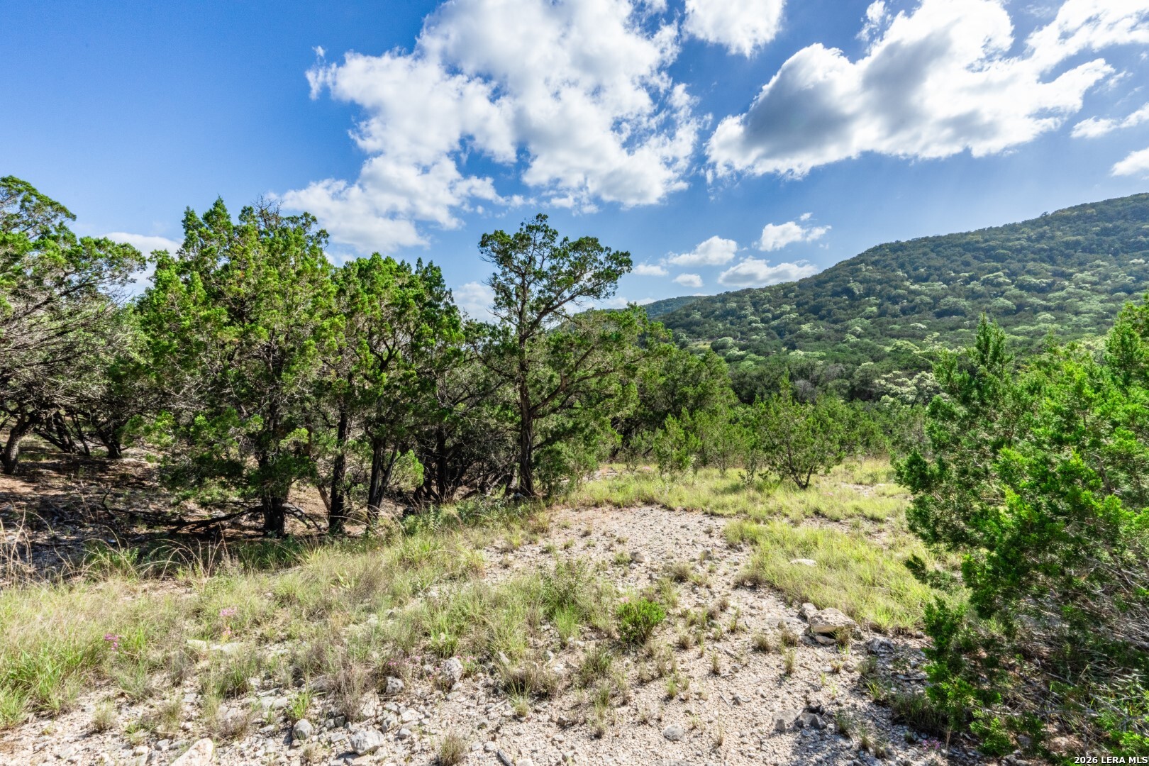 630 Evans Creek Road, , 78885 — photo 1