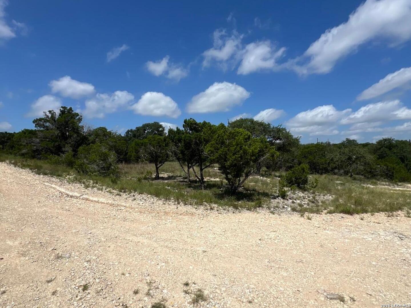 1188 CLIFF DR, Spring Branch, TX 78070 — photo 1