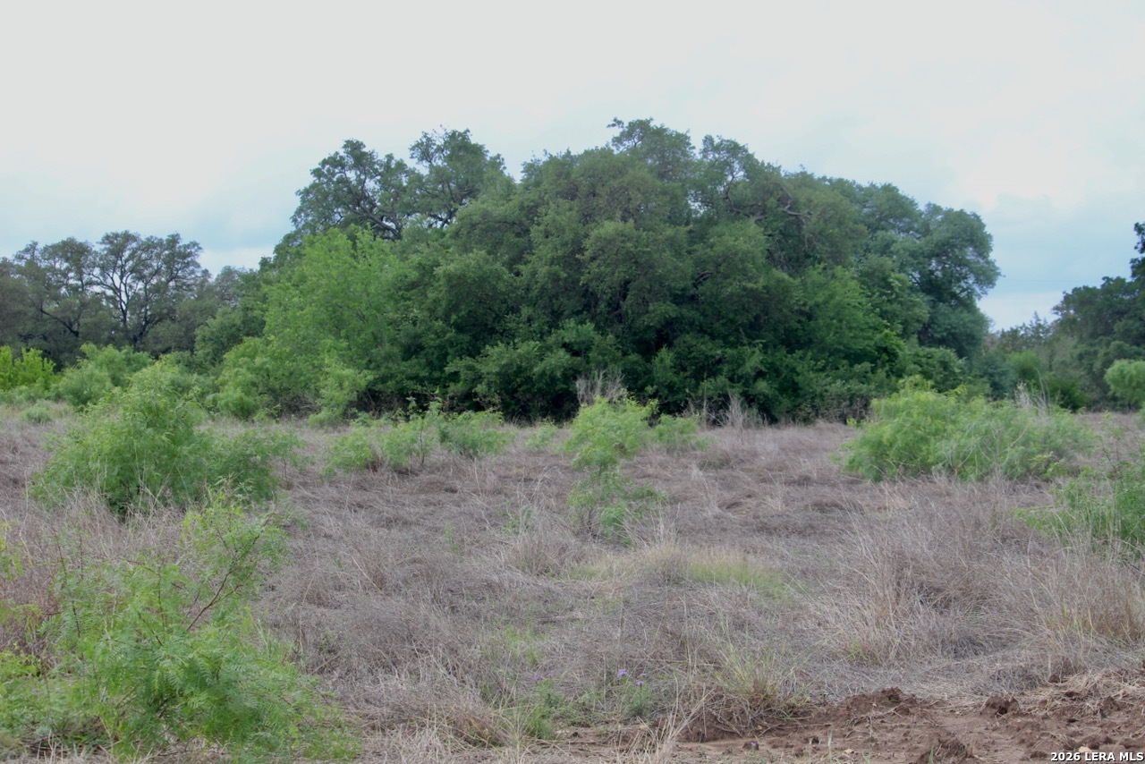 000 CR 341, ,  78861 — photo 1