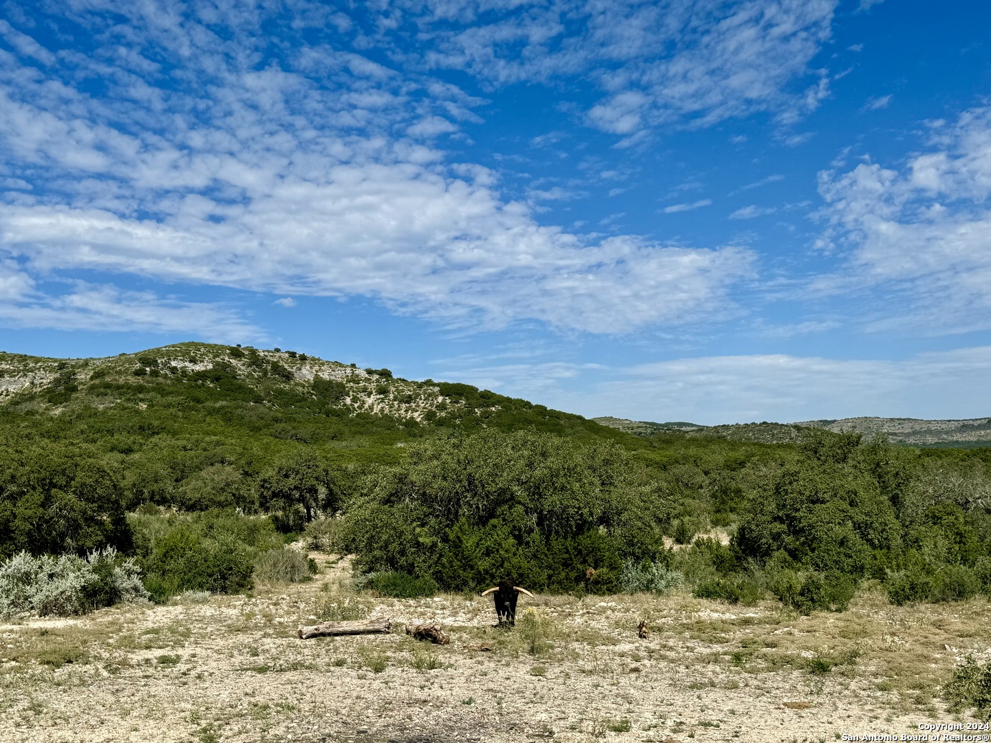 LOT 4B 22819 S. Hwy 55, , 78801 — photo 1