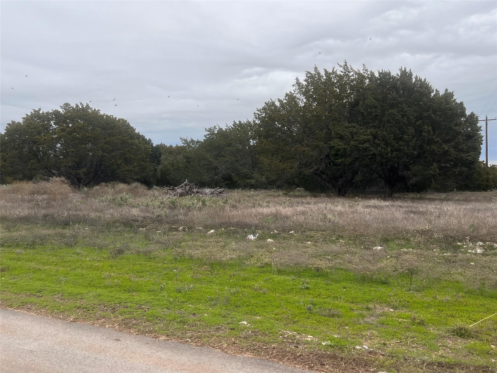 125 Ethan, Burnet, TX 78611 — photo 1