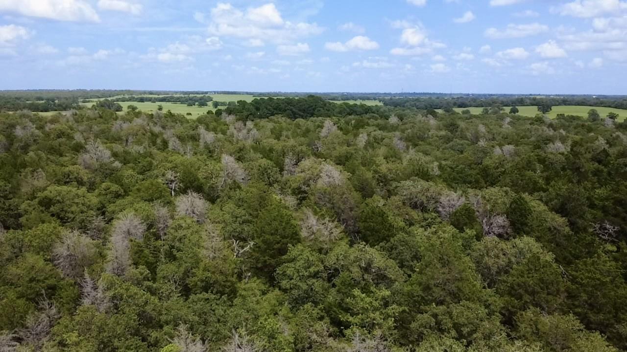 TBD County Road 337, Lexington, TX 78947 — photo 1