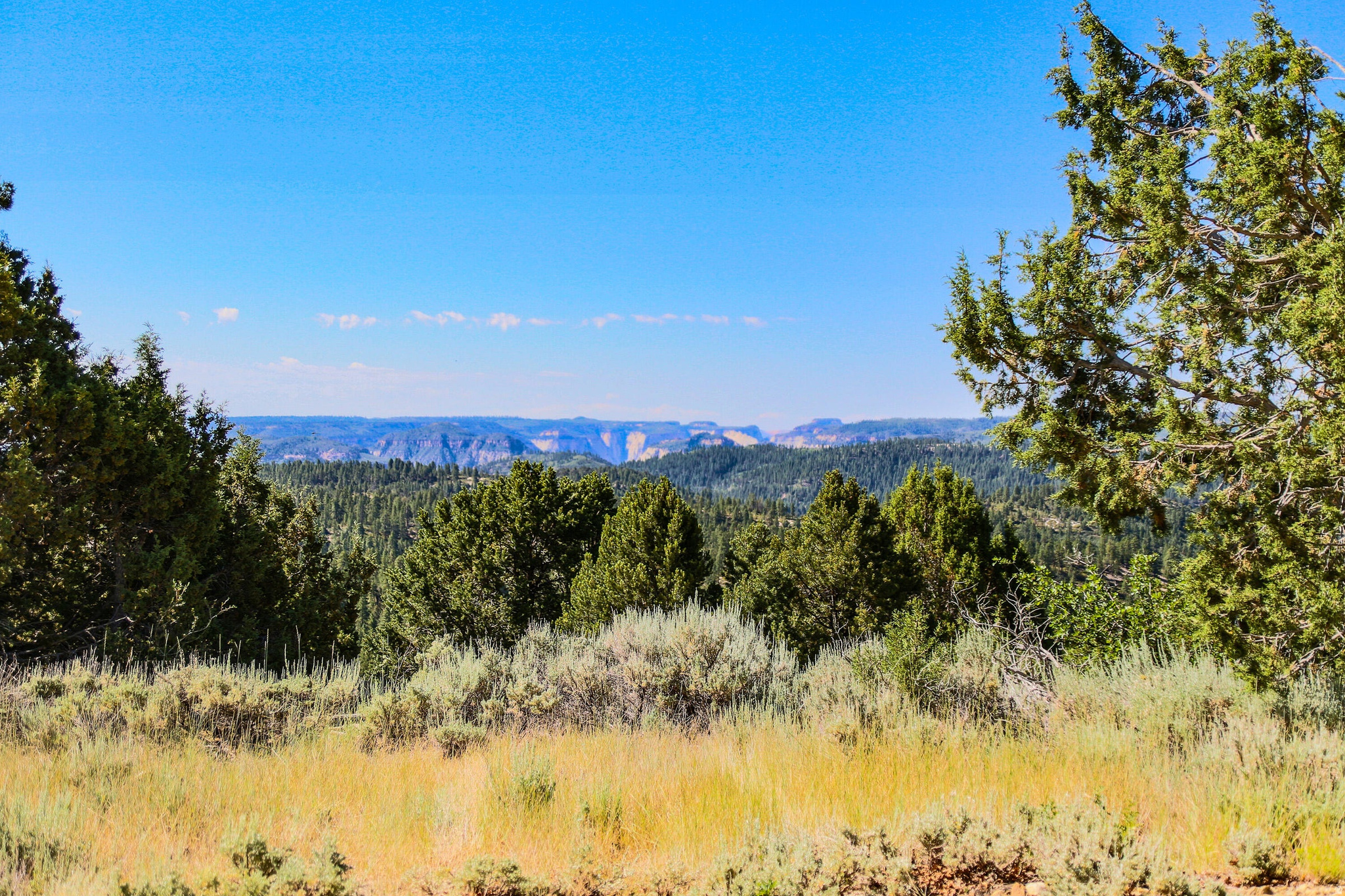 22  FITZWATER DR, Virgin, UT 84779 — photo 1