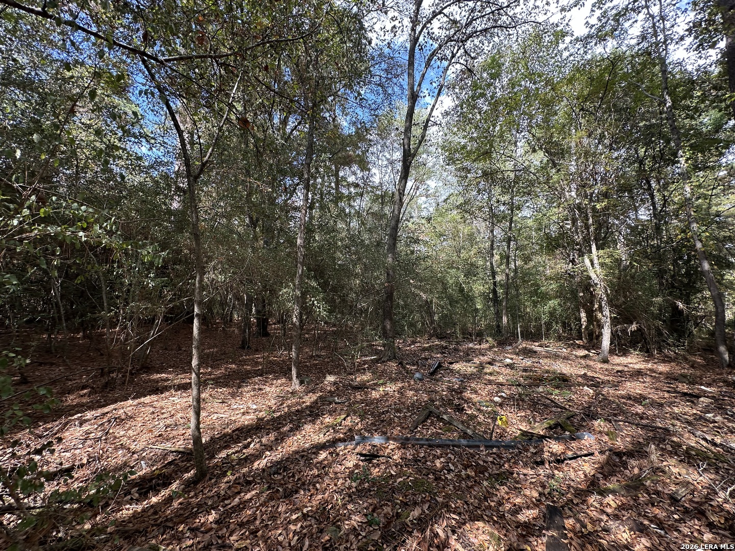 467 JAPE MASSINGILL LN, Diboll, TX 75941 — photo 1