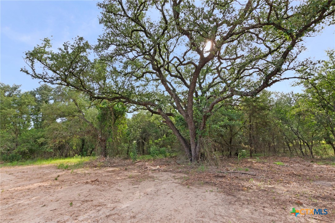12200 Private Road 3641, Kempner, TX 76539 — photo 1