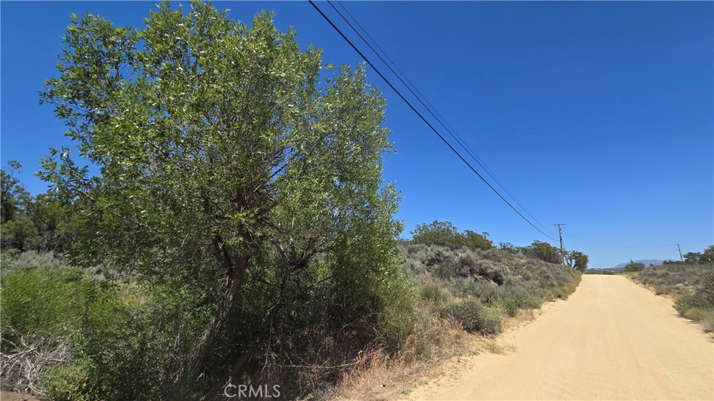 38375 Indian Road, Anza, CA 92539 — photo 1