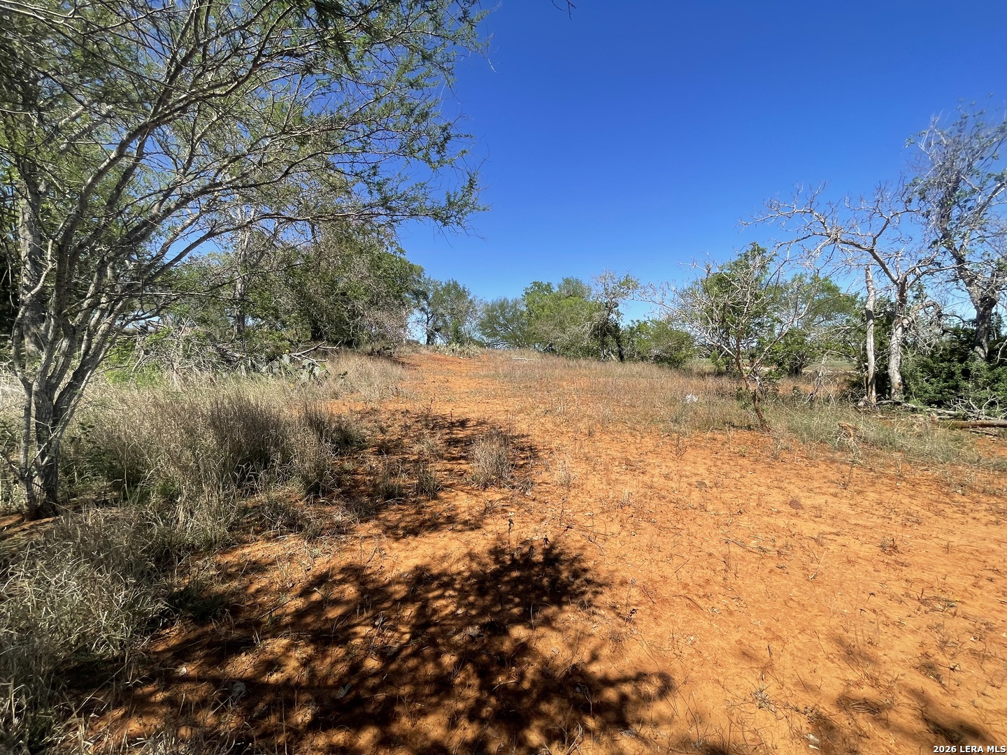 10306 FM 1681, , 78140 — photo 1