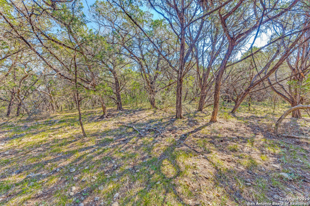 374 private road 1742, ,  78056 — photo 1