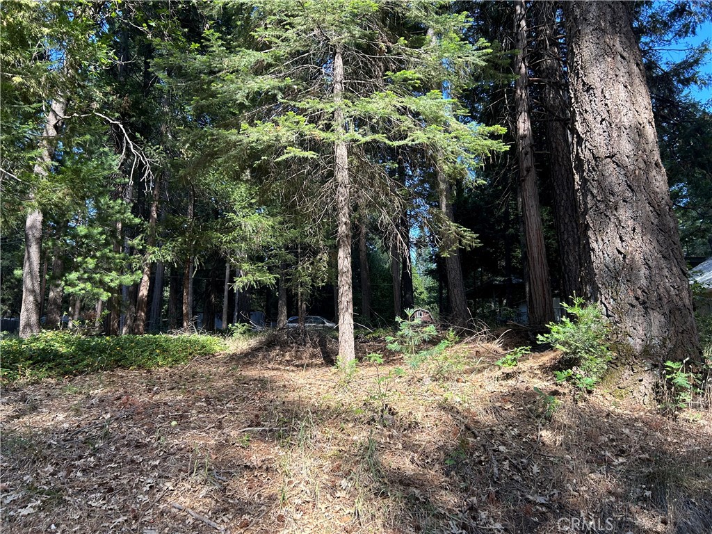 0 Asheville, Magalia, CA 95954 — photo 1