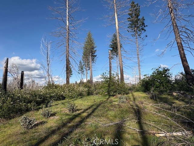 4277 Bald Rock Road, Brush Creek, CA 95916 — photo 1