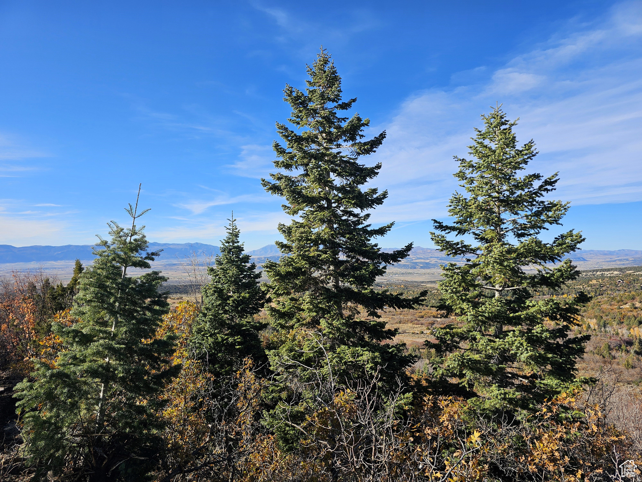 17  PINE CREST DR, Mt Pleasant, UT 84647 — photo 1