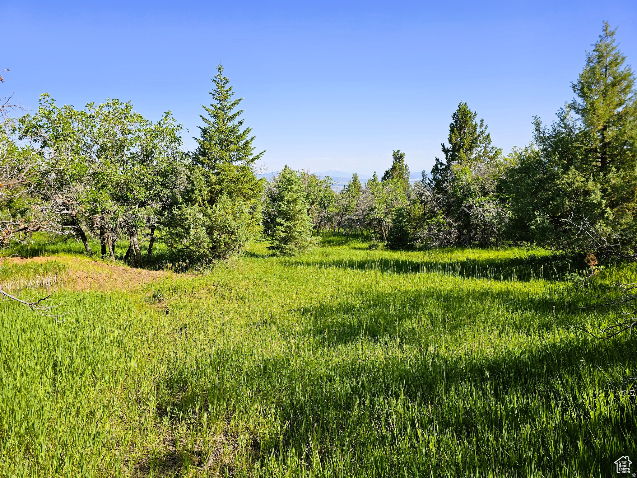 2  WHISPERING PINES RD, Mt Pleasant, UT 84647 — photo 1