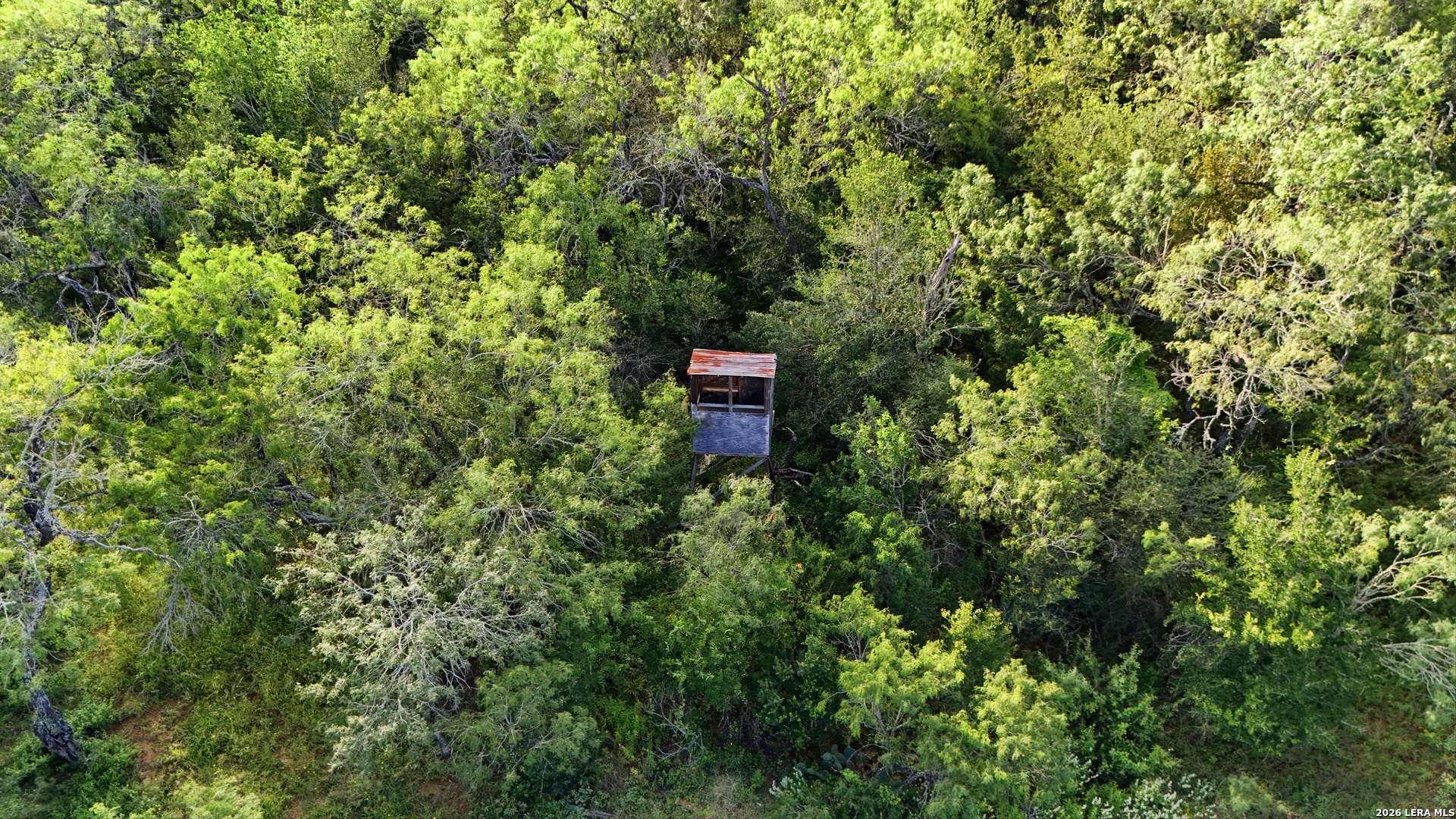 385 Marrou Rd (Lot 1), ,  78155 — photo 1