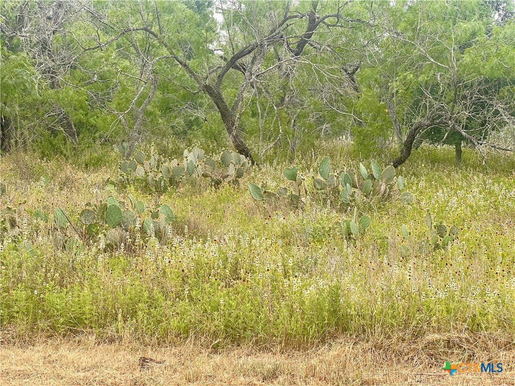 Lot 14 Wisteria Lane, Smiley, TX 78159 — photo 1