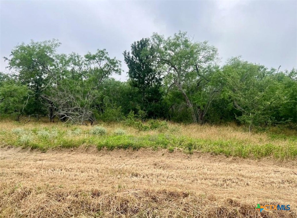 Lot 8 Wisteria Lane, Smiley, TX 78159 — photo 1