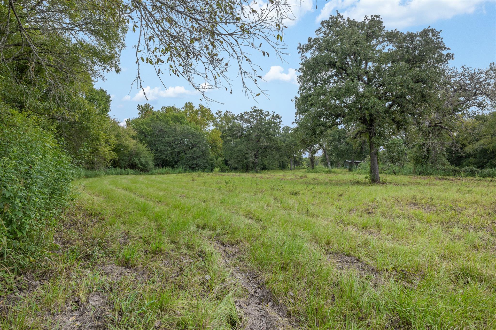 2997 County Road 258, Cameron, TX 76520 — photo 1