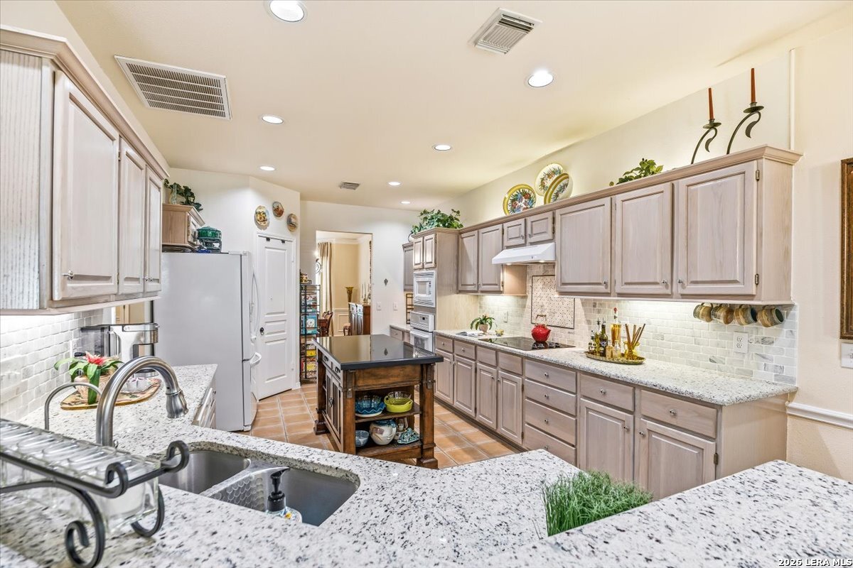 17202 Blanco Oaks, ,  78248 — photo 1