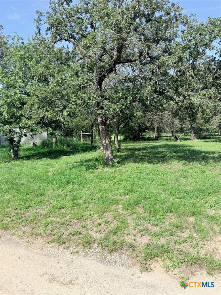 140 Mackie Lane, Seguin, TX 78155 — photo 1