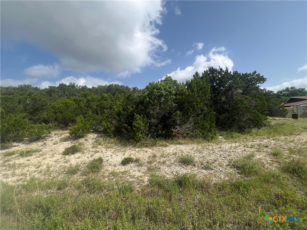 268 Scenic Hills Drive, Canyon Lake, TX 78133 — photo 1