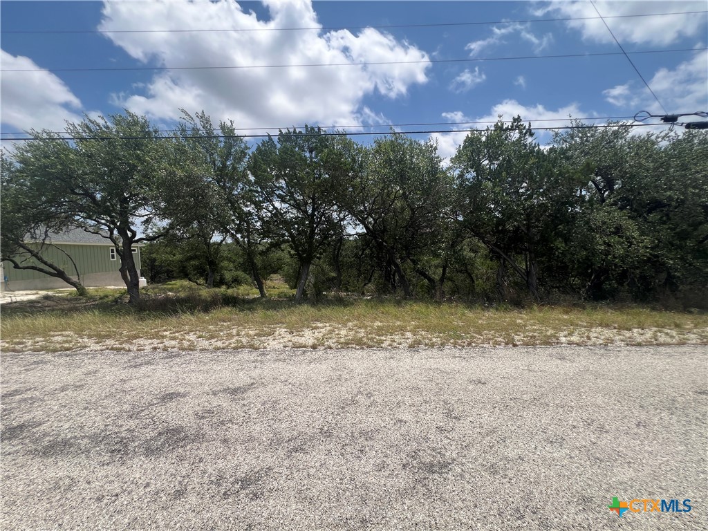 1252 Parton Road, Canyon Lake, TX 78133 — photo 1