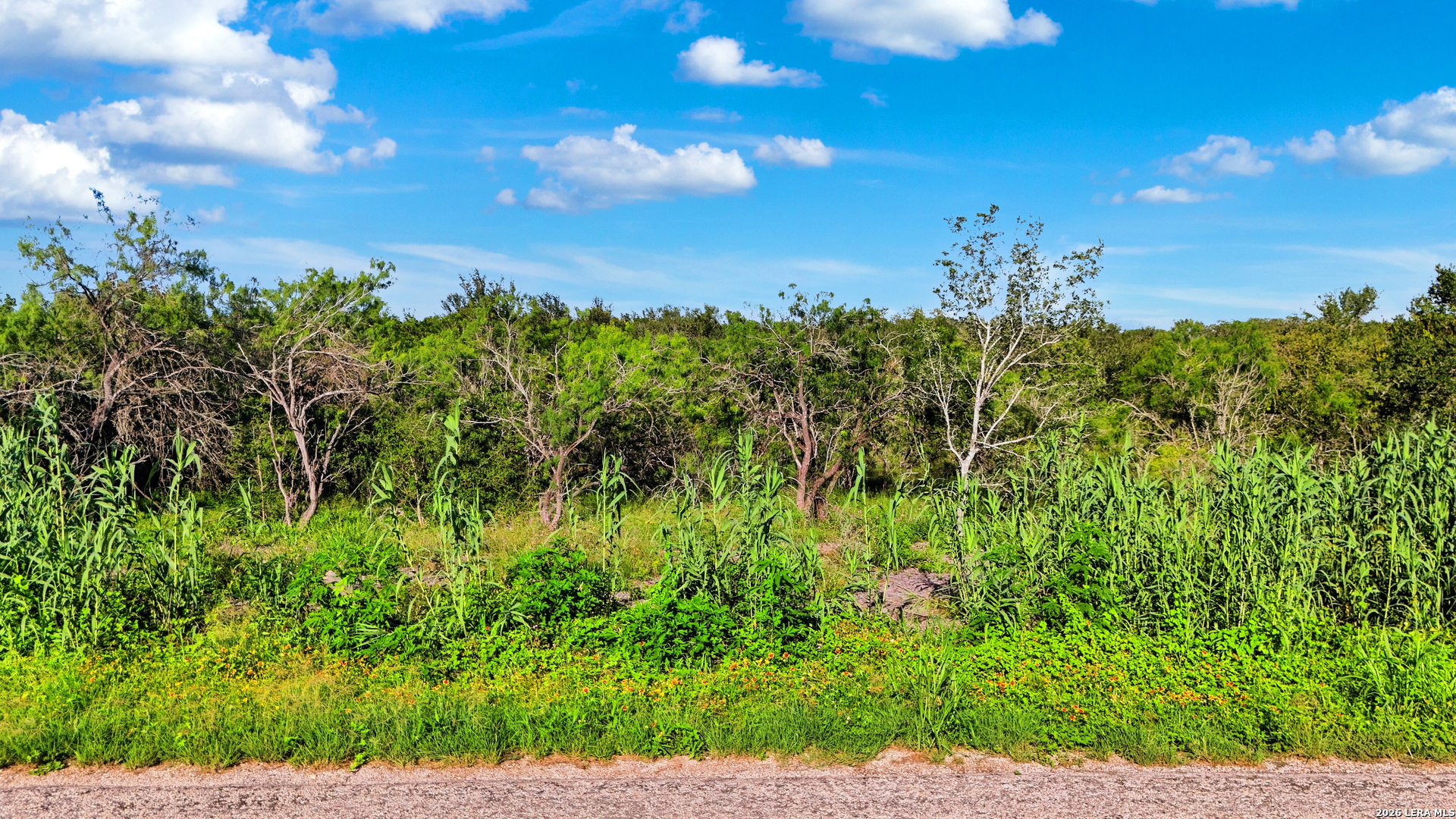 605 Marrou Rd. (Lot 6), Seguin, TX 78155 — photo 1