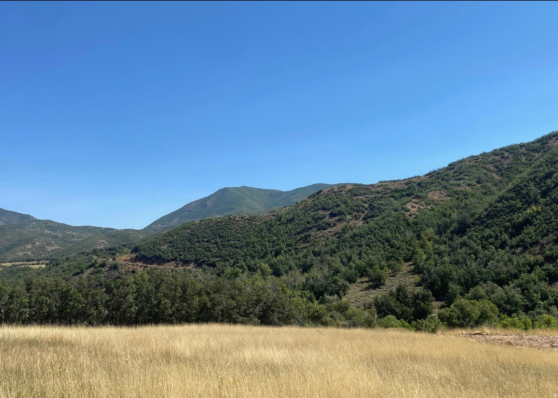 131 S MEADOW DR, Springville, UT 84663 — photo 1