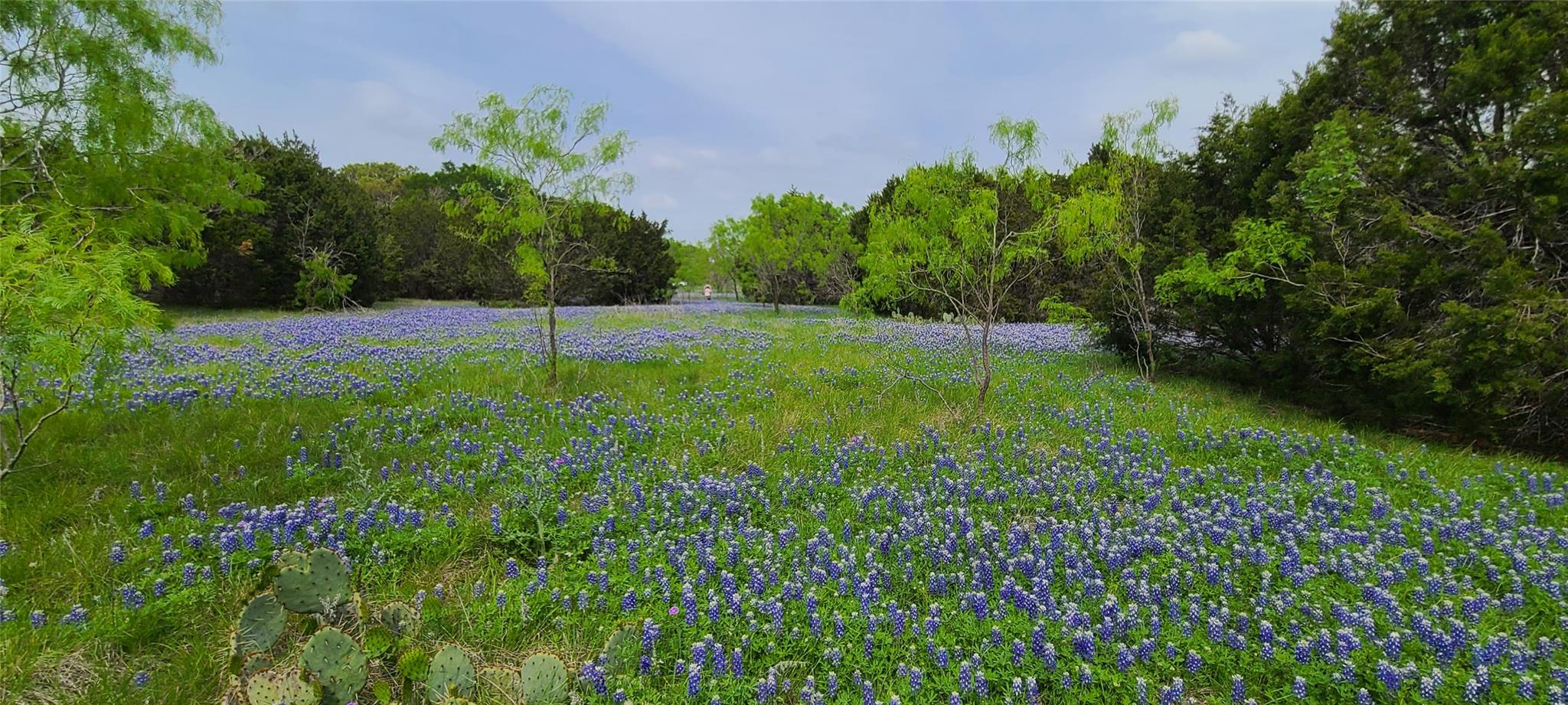 TBD US Highway 190 E, Kempner, TX 76539 — photo 1