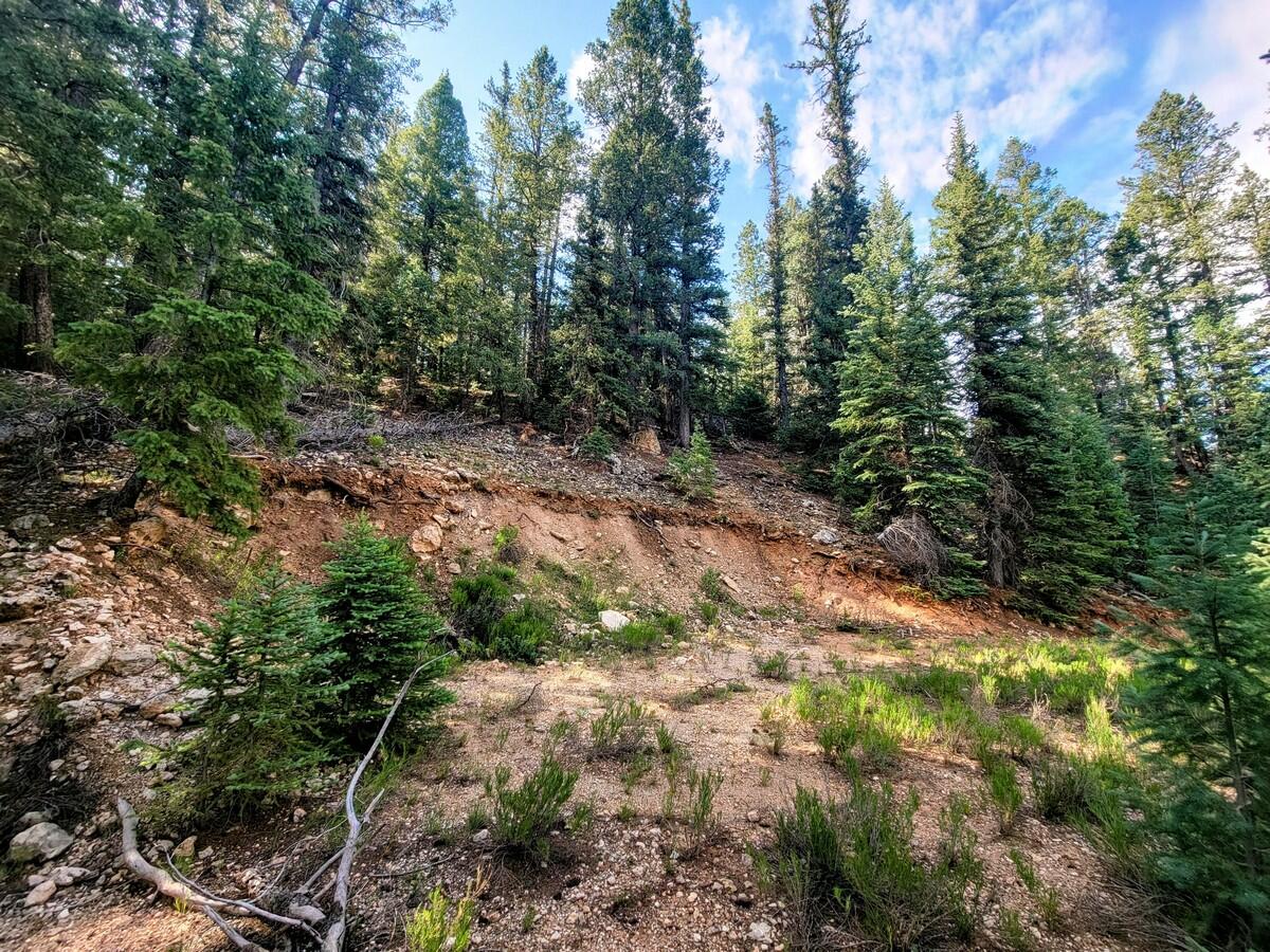 770 N Skyline View DR, Duck Creek, UT 84762 — photo 1