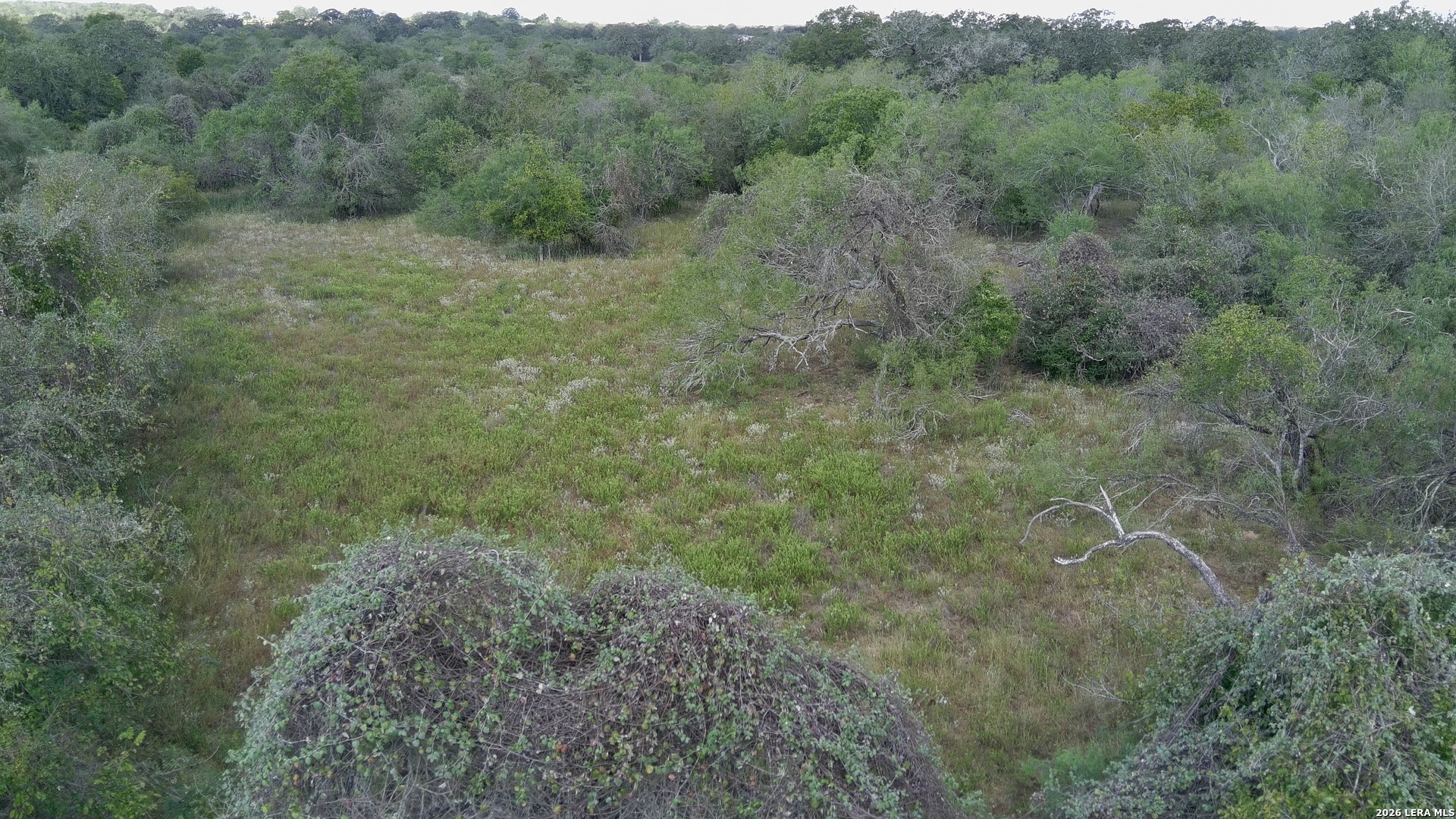 39 AC Dowdy, ,  78155 — photo 1