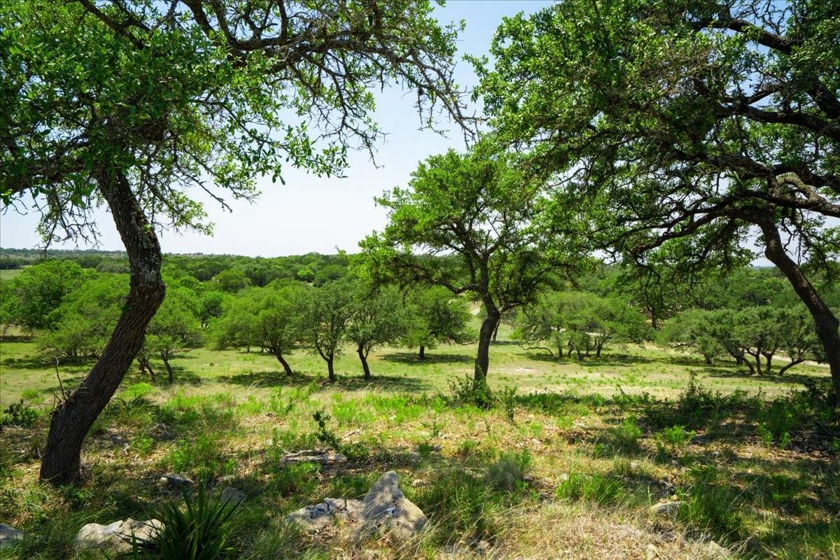 101 Mystic Overlook, Dripping Springs, TX 78620 — photo 1
