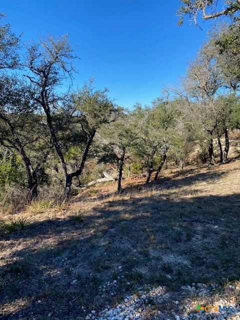 1178 Primrose Path, Canyon Lake, TX 78133 — photo 1