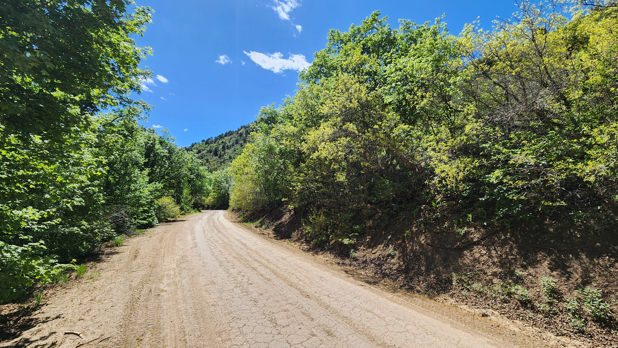 14065 E BIRCH CRK, Fairview, UT 84629 — photo 1
