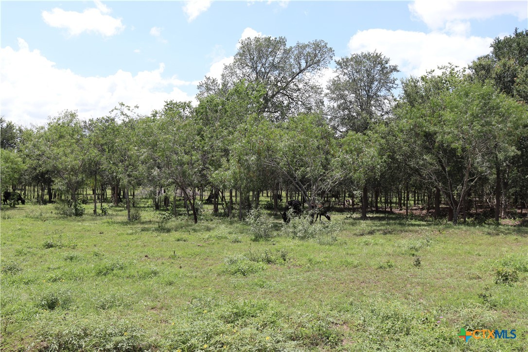 1220 Brushy Branch Road, Lockhart, TX 78644 — photo 1