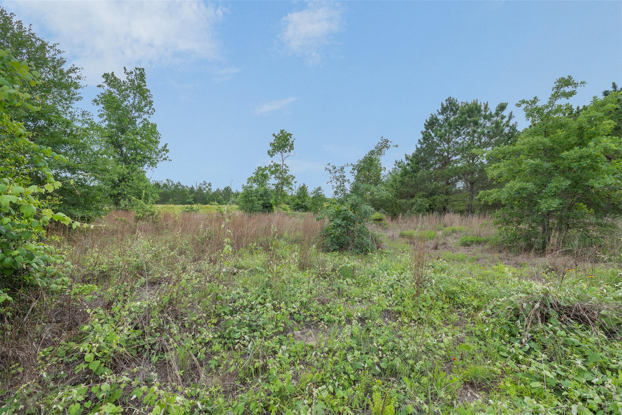 TBD Lot 20c County, Bastrop, TX 78602 — photo 1