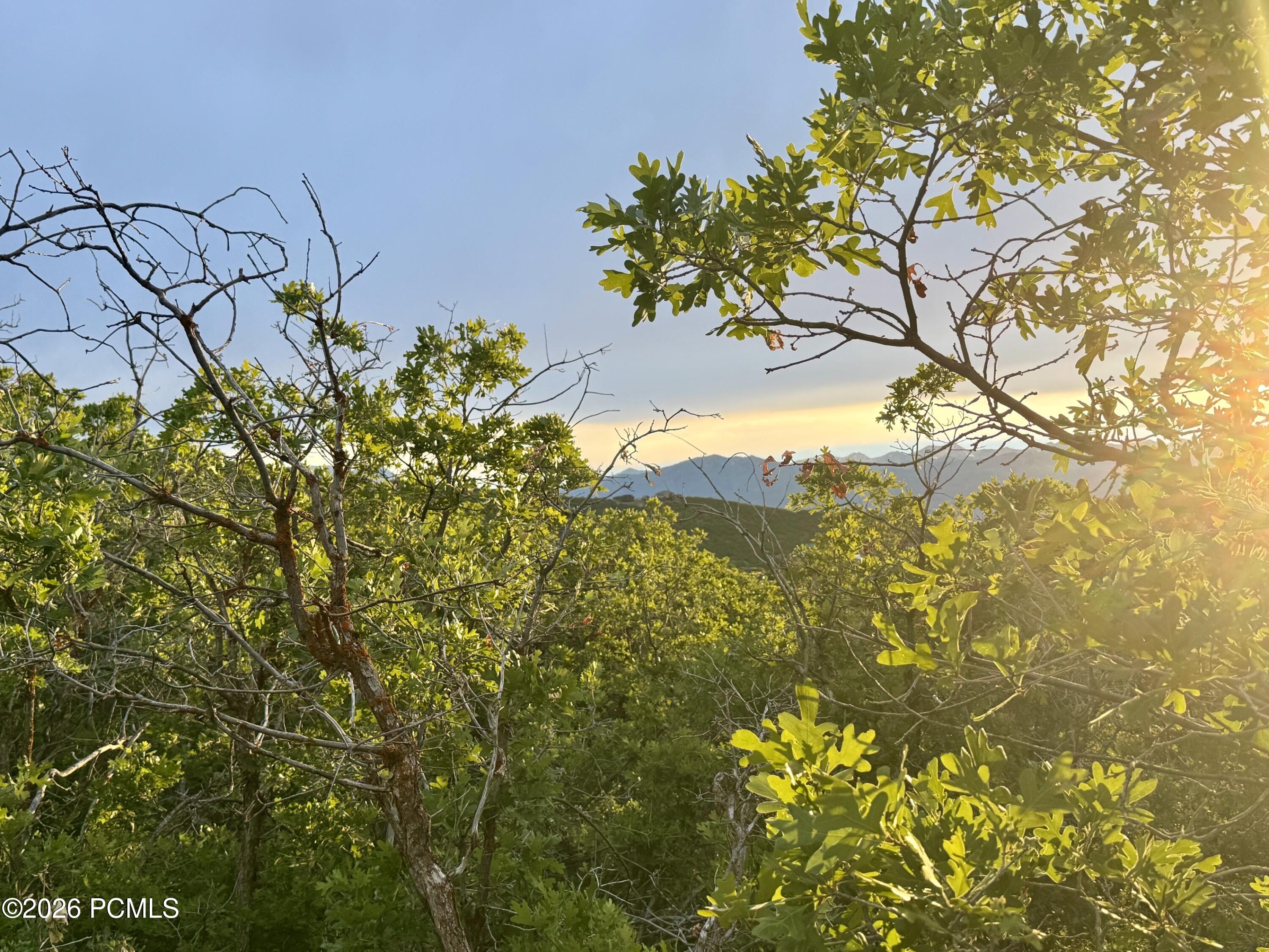 1556 S Tree Top Lane 353, Heber City, UT 84032 — photo 1