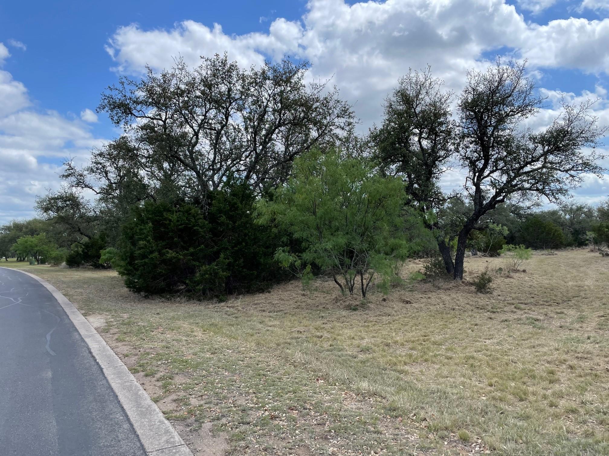 302 Vista View Trl, Spicewood, TX 78669 — photo 1