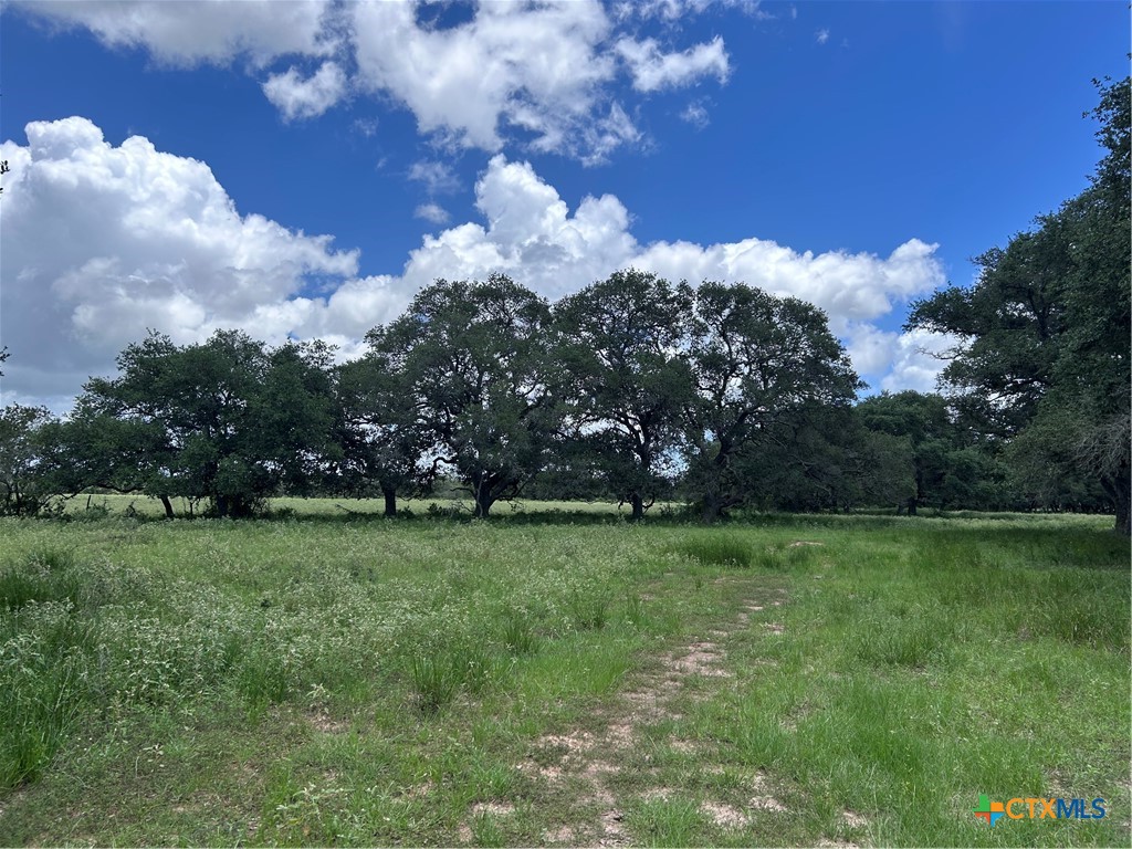 1022 County Road 438, Yoakum, TX 77995 — photo 1