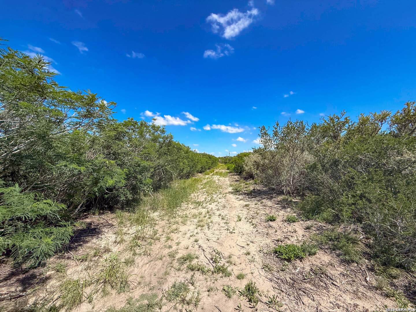 001 CR 624, , 78072 — photo 1