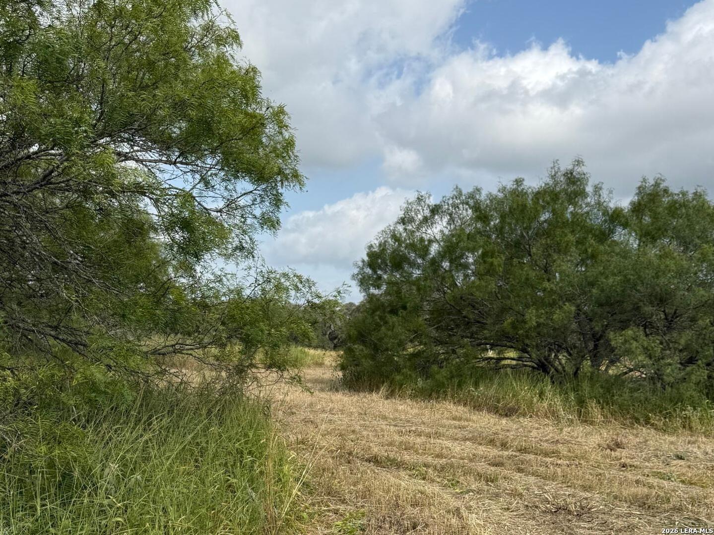 585 County Road 768, ,  78016 — photo 1