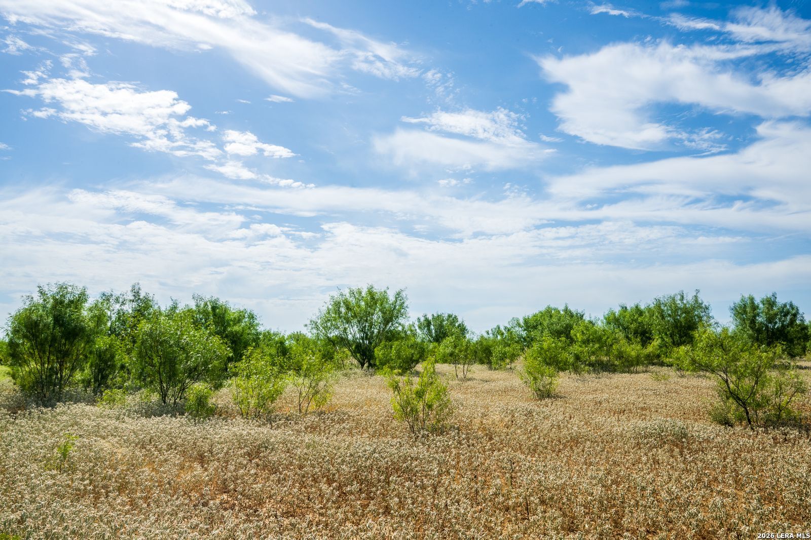 FM2200 2200, , 78886 — photo 1