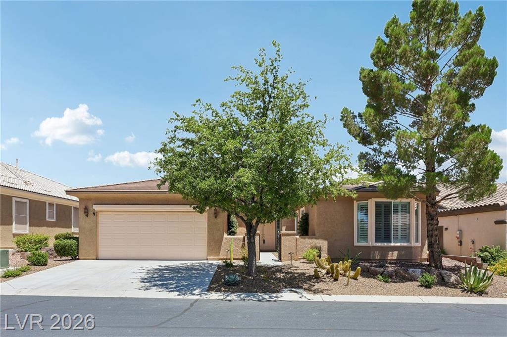 5110  Vincitor Street, Las Vegas, NV 89135 — photo 1